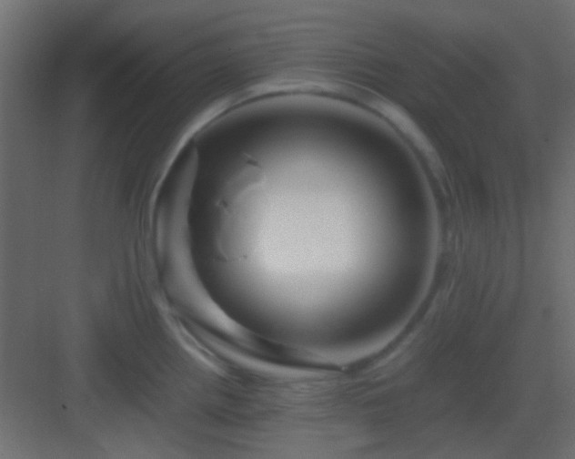 X0000082951242200702081641
