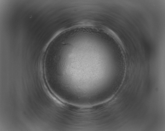 X0000082951243200702081641
