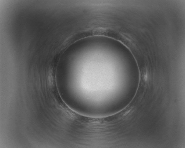 X0000082951252200702081640
