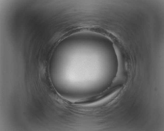 X0000082951257200702081640