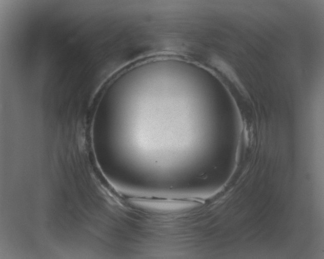X0000082951260200702081640