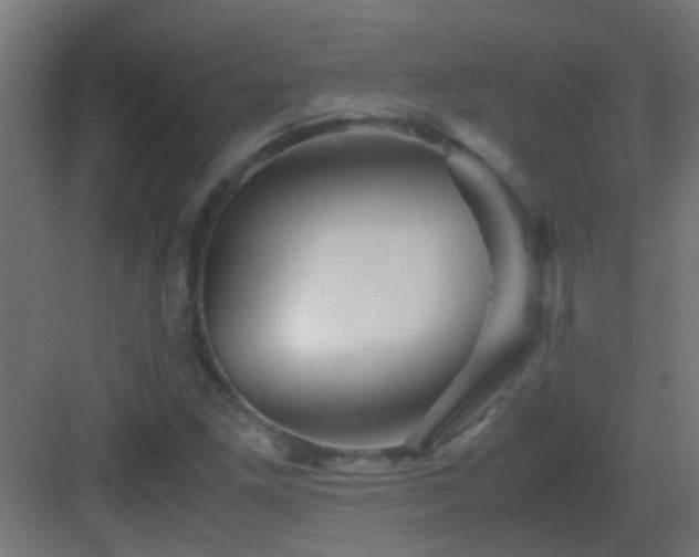 X0000082951261200702081640