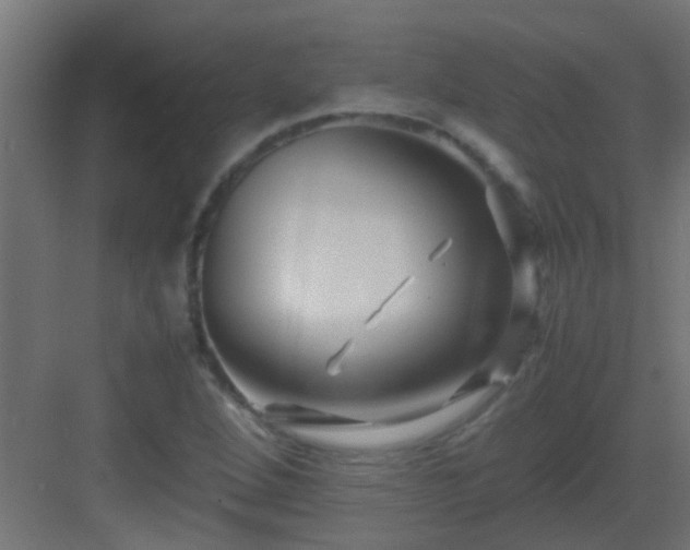 X0000082951264200702081640
