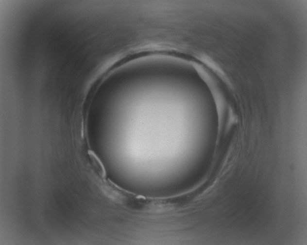 X0000082951269200702081640