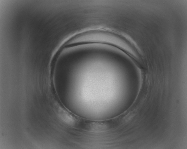 X0000082951270200702081640