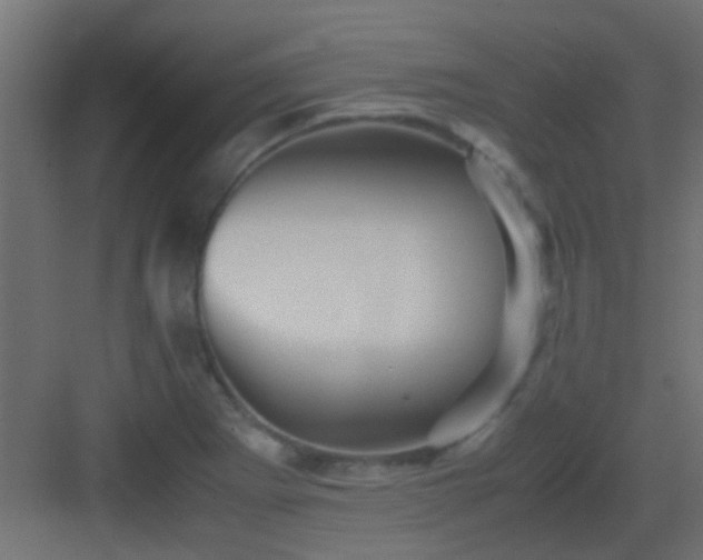 X0000082951273200702081640