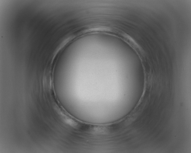 X0000082951274200702081640