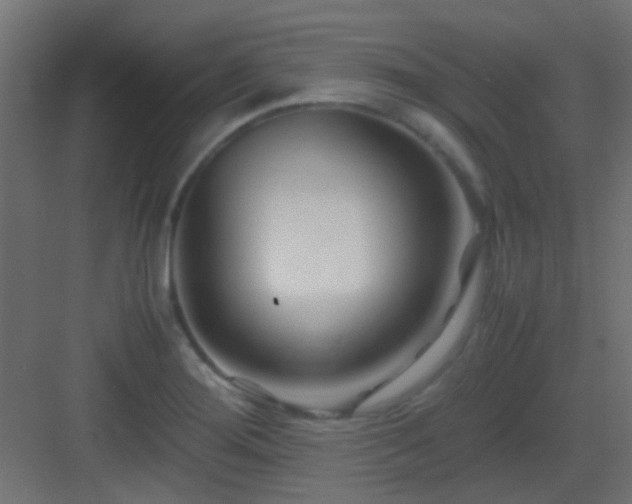 X0000082951276200702081640