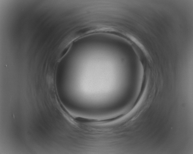 X0000082951281200702081640