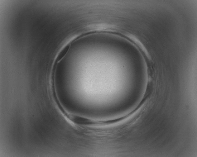 X0000082951285200702081640