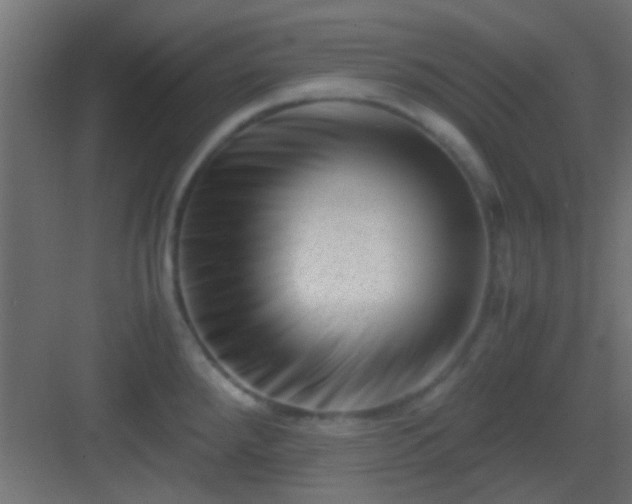 X0000082951288200702081640