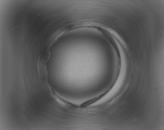 X0000082951289200702081640
