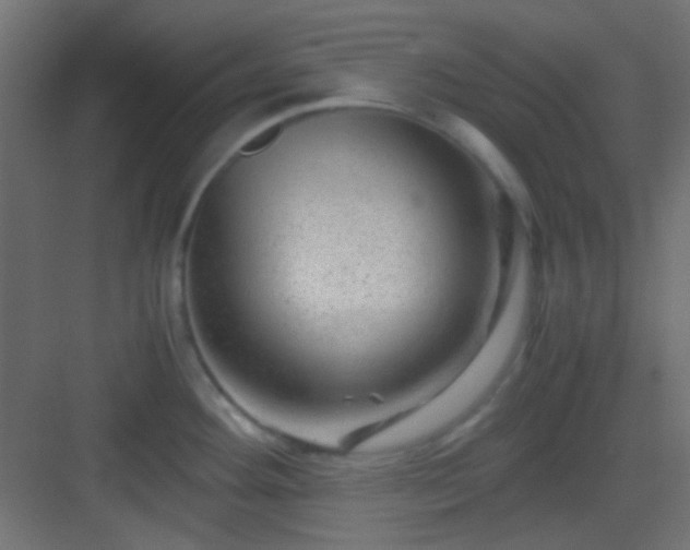 X0000082951292200702081640