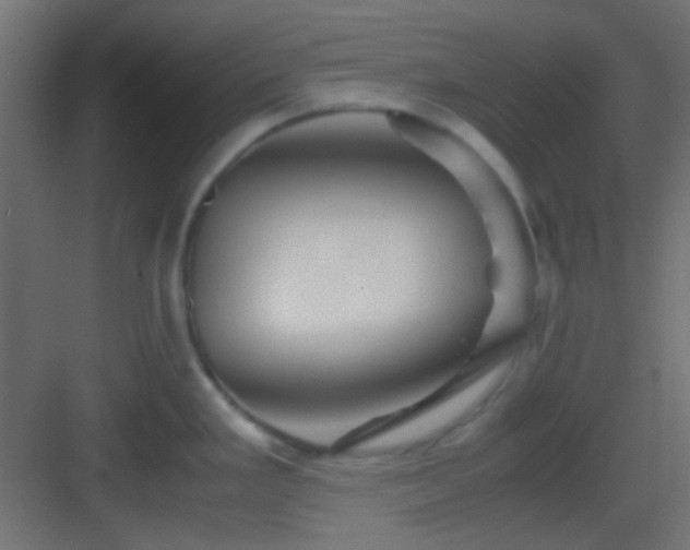 X0000082951293200702081640