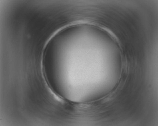 X0000082951294200702081640