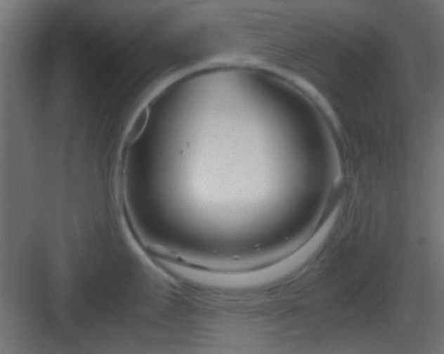 X0000082951295200702081640