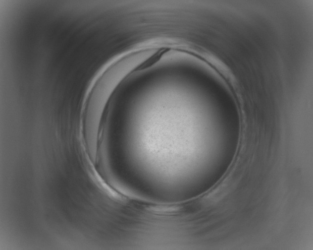 X0000082951296200702081640