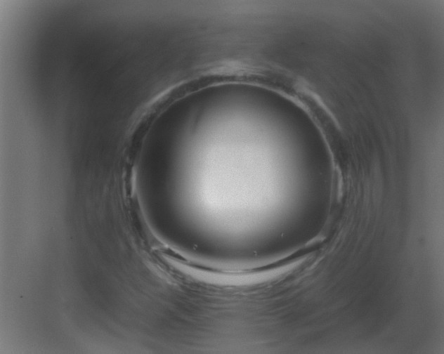 X0000082951304200702081639