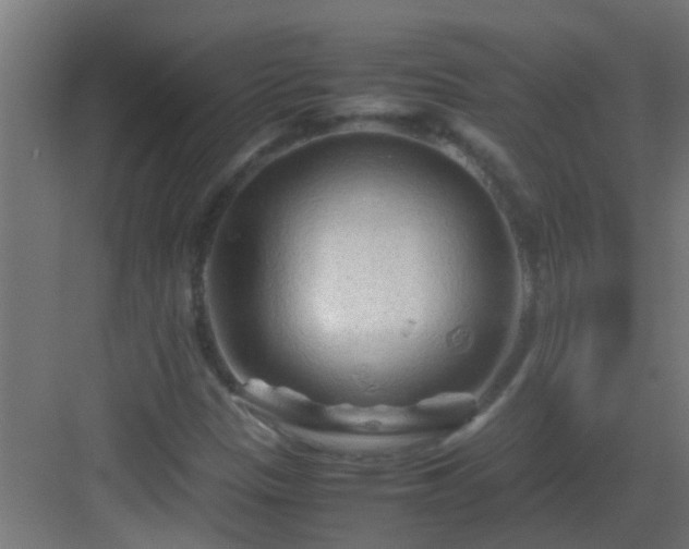 X0000082951305200702081639