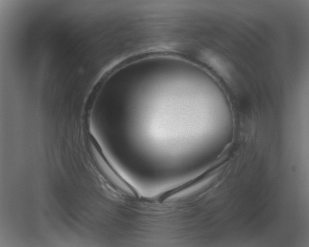 X0000082951308200702081639