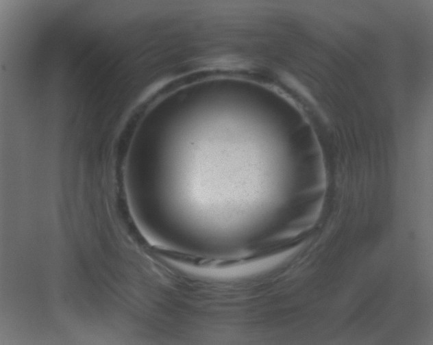 X0000082951315200702081639