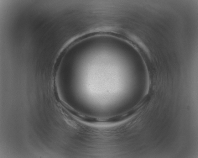 X0000082951316200702081639