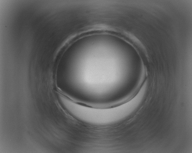 X0000082951318200702081639