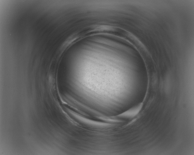 X0000082951321200702081639