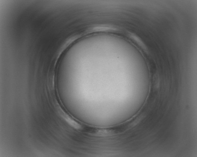 X0000082951322200702081639