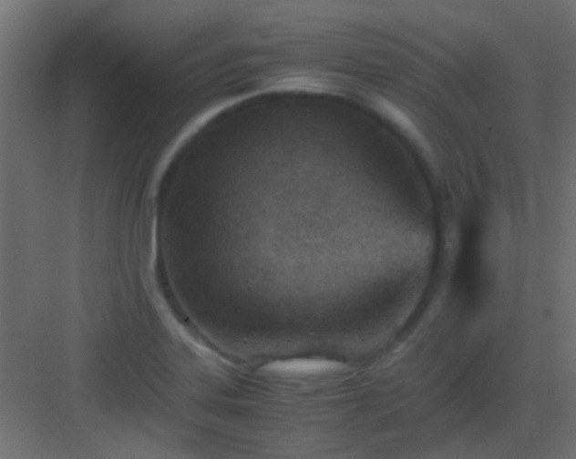 X0000082951323200702081639