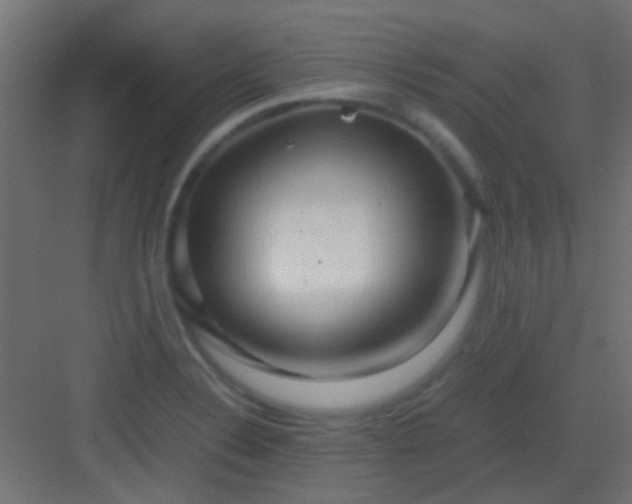X0000082951324200702081639