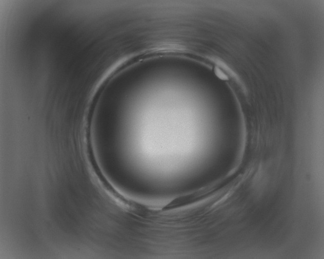 X0000082951325200702081639