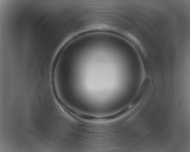 X0000082951326200702081639
