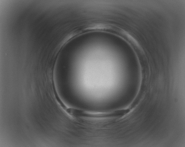 X0000082951329200702081639