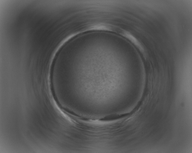 X0000082951331200702081639