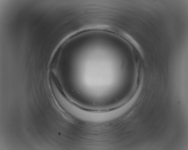 X0000082951332200702081639