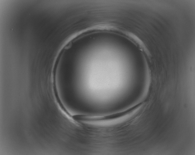 X0000082951335200702081639