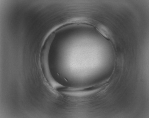 X0000082951336200702081639