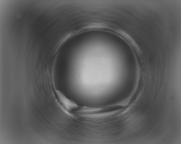 X0000082951337200702081640
