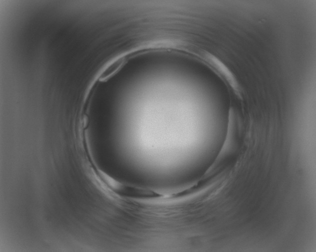 X0000082951340200702081640