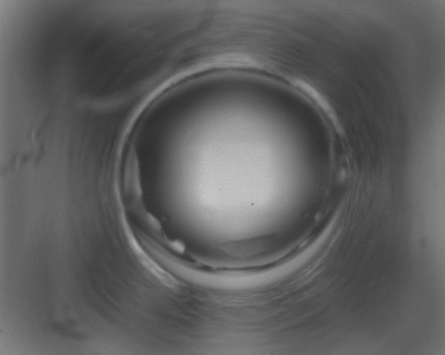 X0000082951342200702081640