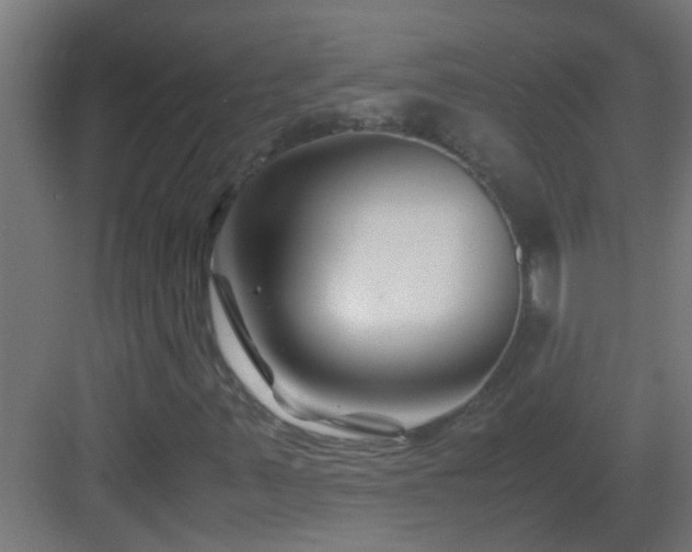X0000082951347200702081639