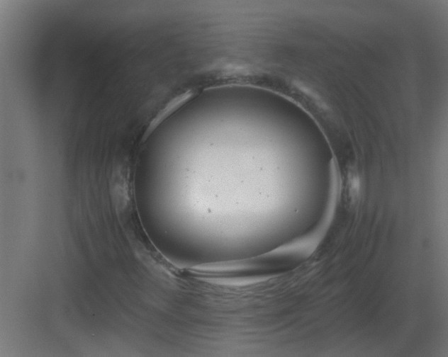 X0000082951348200702081639