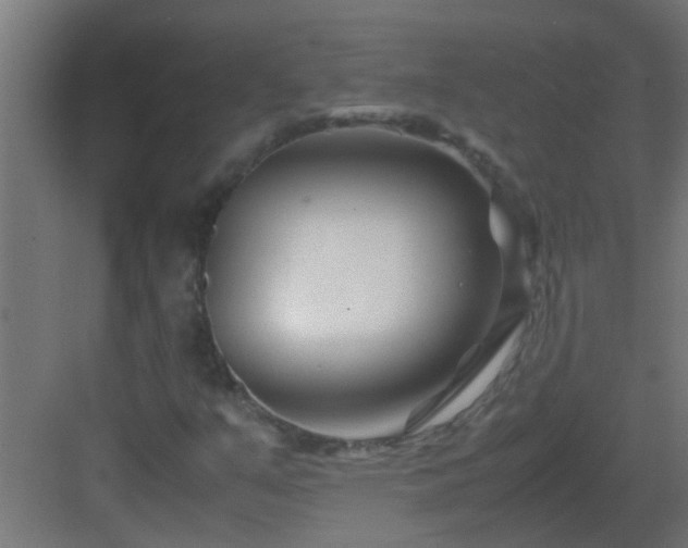 X0000082951351200702081639