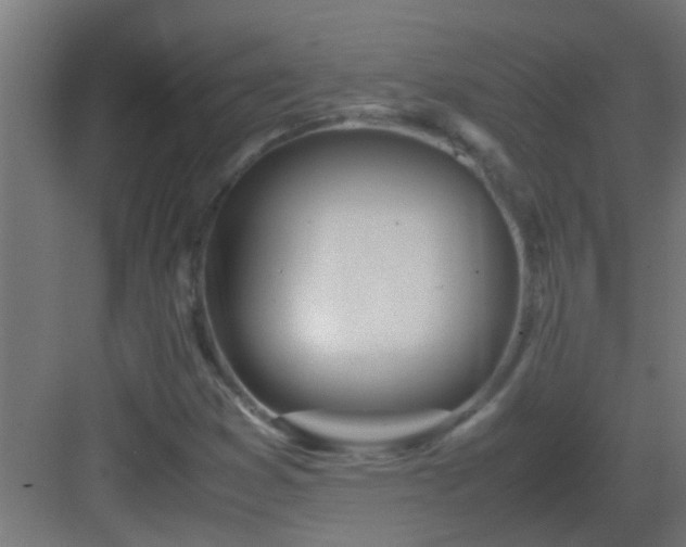 X0000082951353200702081639