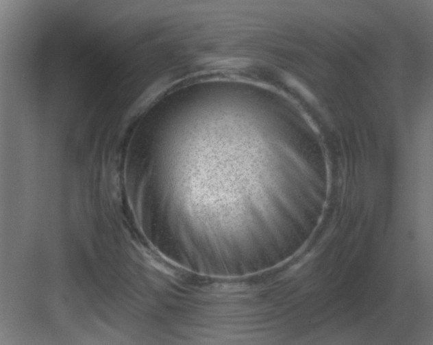 X0000082951354200702081639
