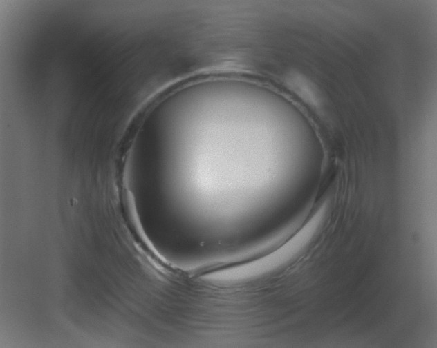 X0000082951356200702081639