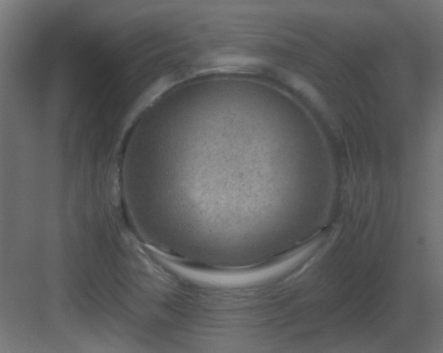 X0000082951362200702081639