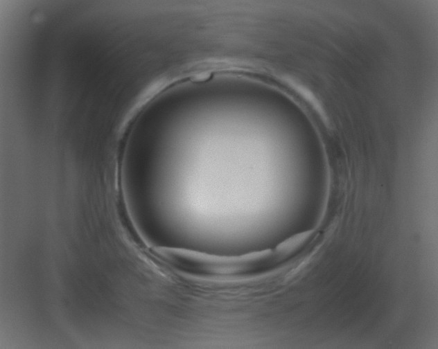 X0000082951365200702081638