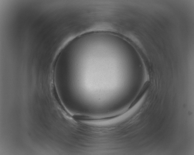 X0000082951366200702081638